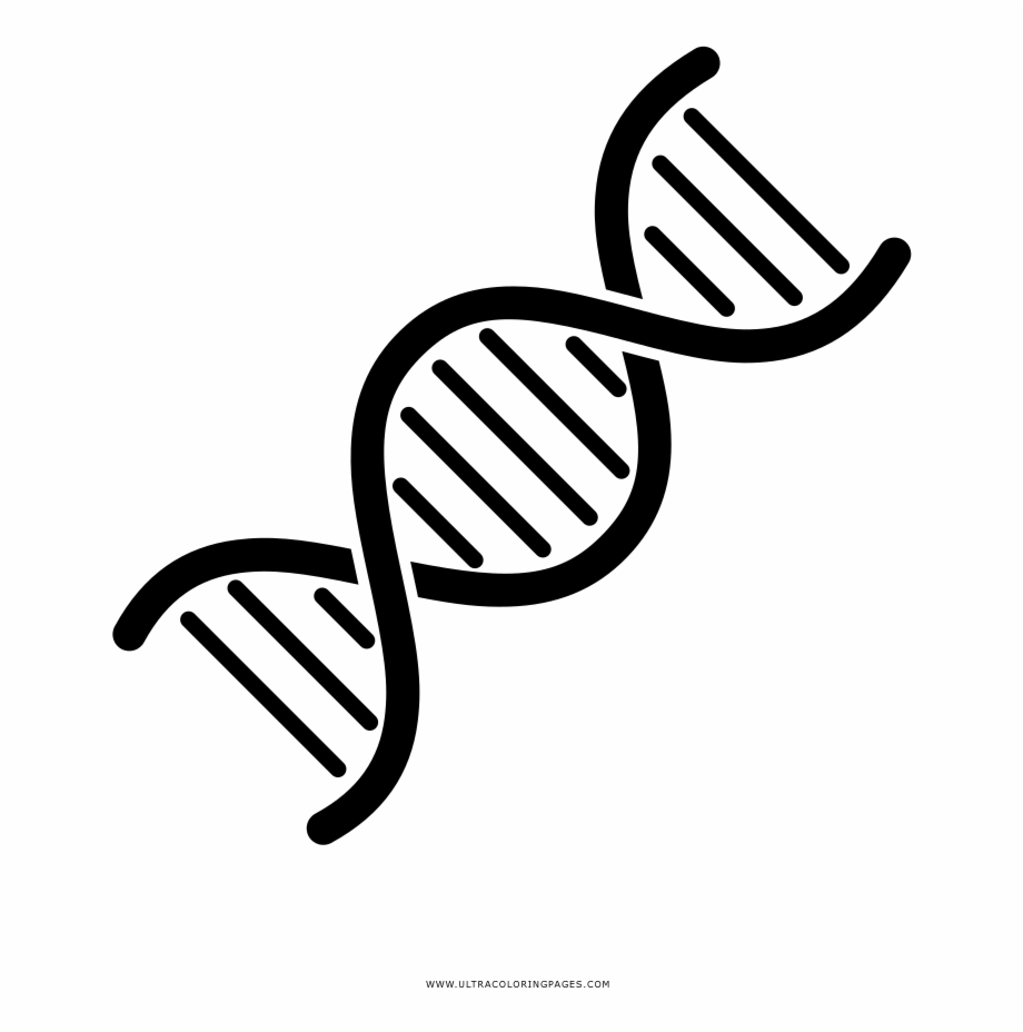 Dna Coloring Page Dna Drawing Png
