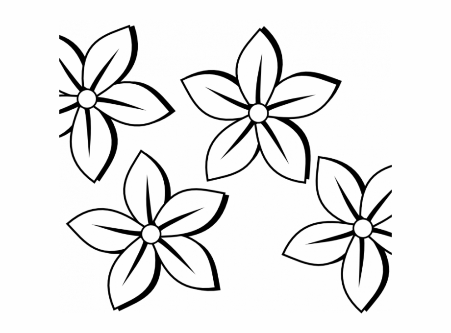 Basic Flower Sketch Free Pictures Of Flower Drawings