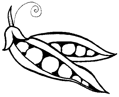 Peas drawing
