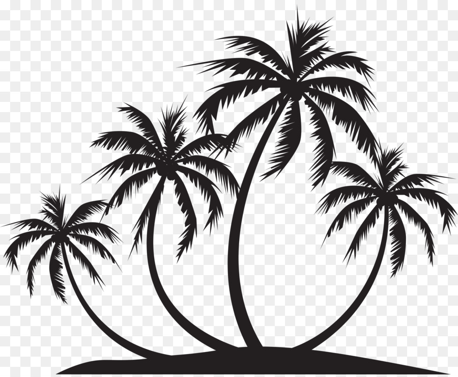 Palm tree silhouette.