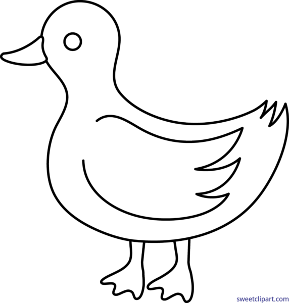 Ducks clipart free download on WebStockReview