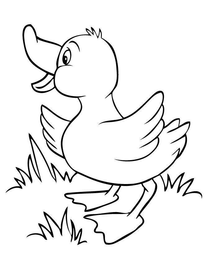 duck clipart black and white cute