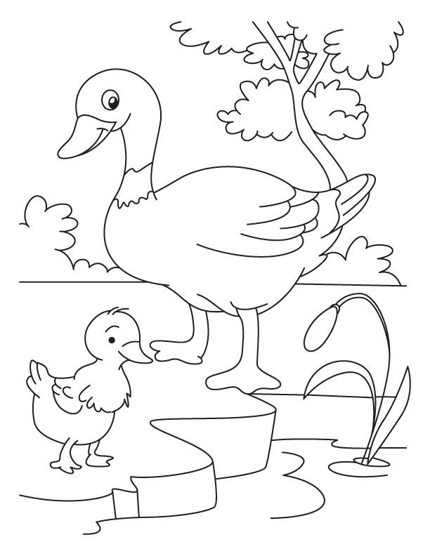 Duck and duckling clipart black and white