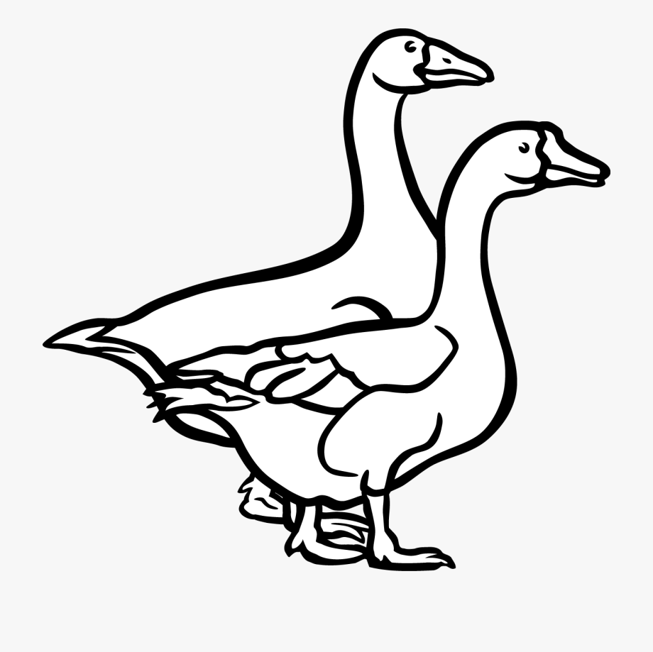 Goose Clipart Black And White