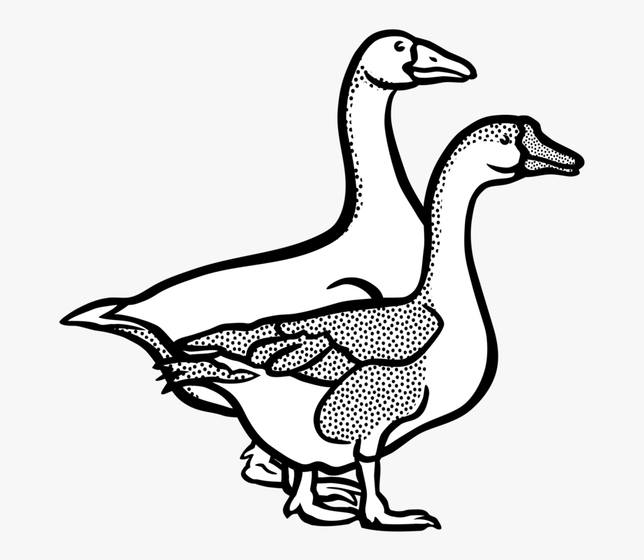 duck clipart black and white vector