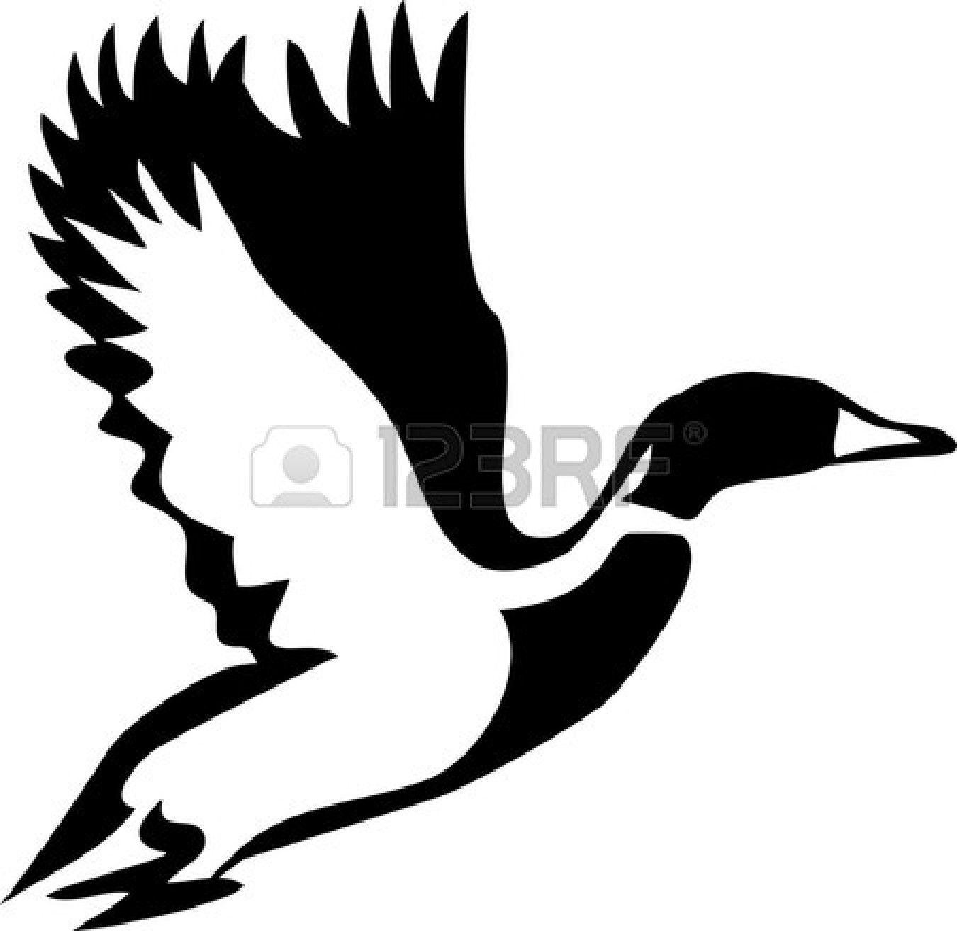 duck clipart black and white mallard