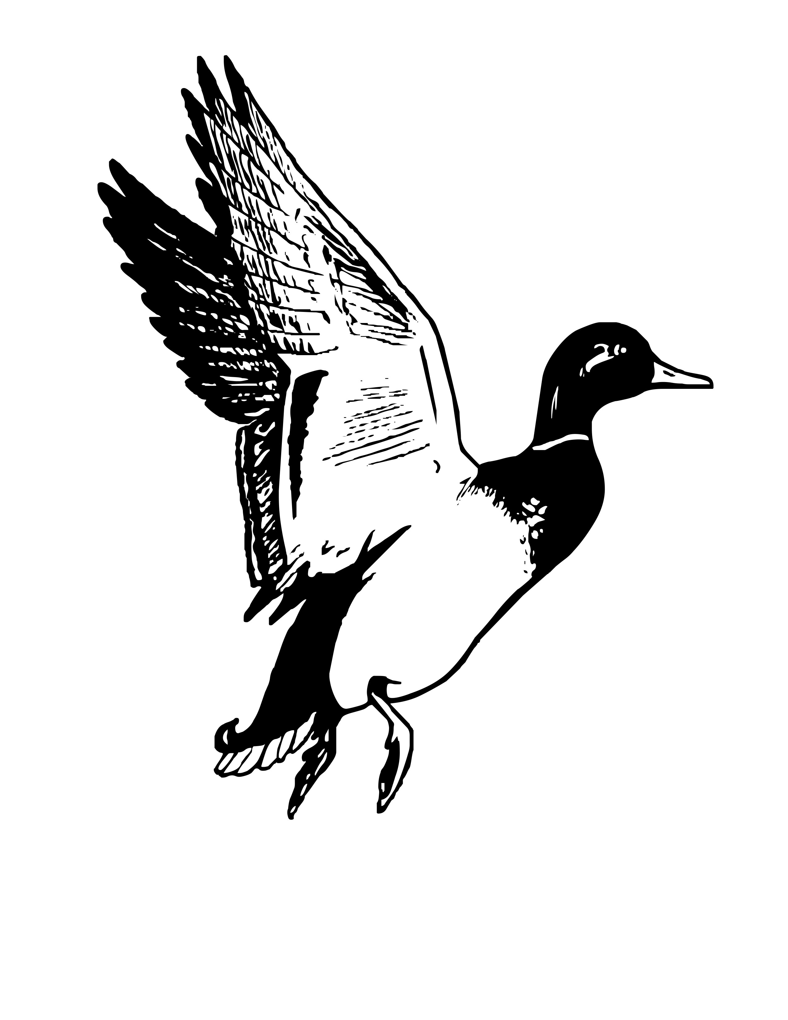 Mallard Duck Clip Art Black