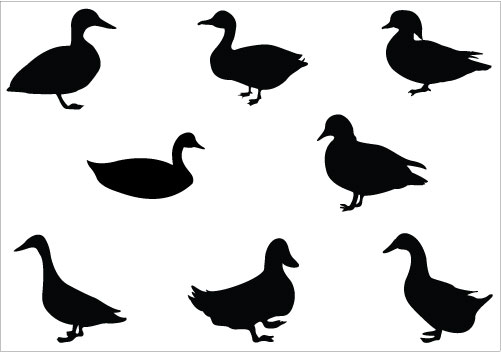 Free Rubber Duck Silhouette, Download Free Clip Art, Free
