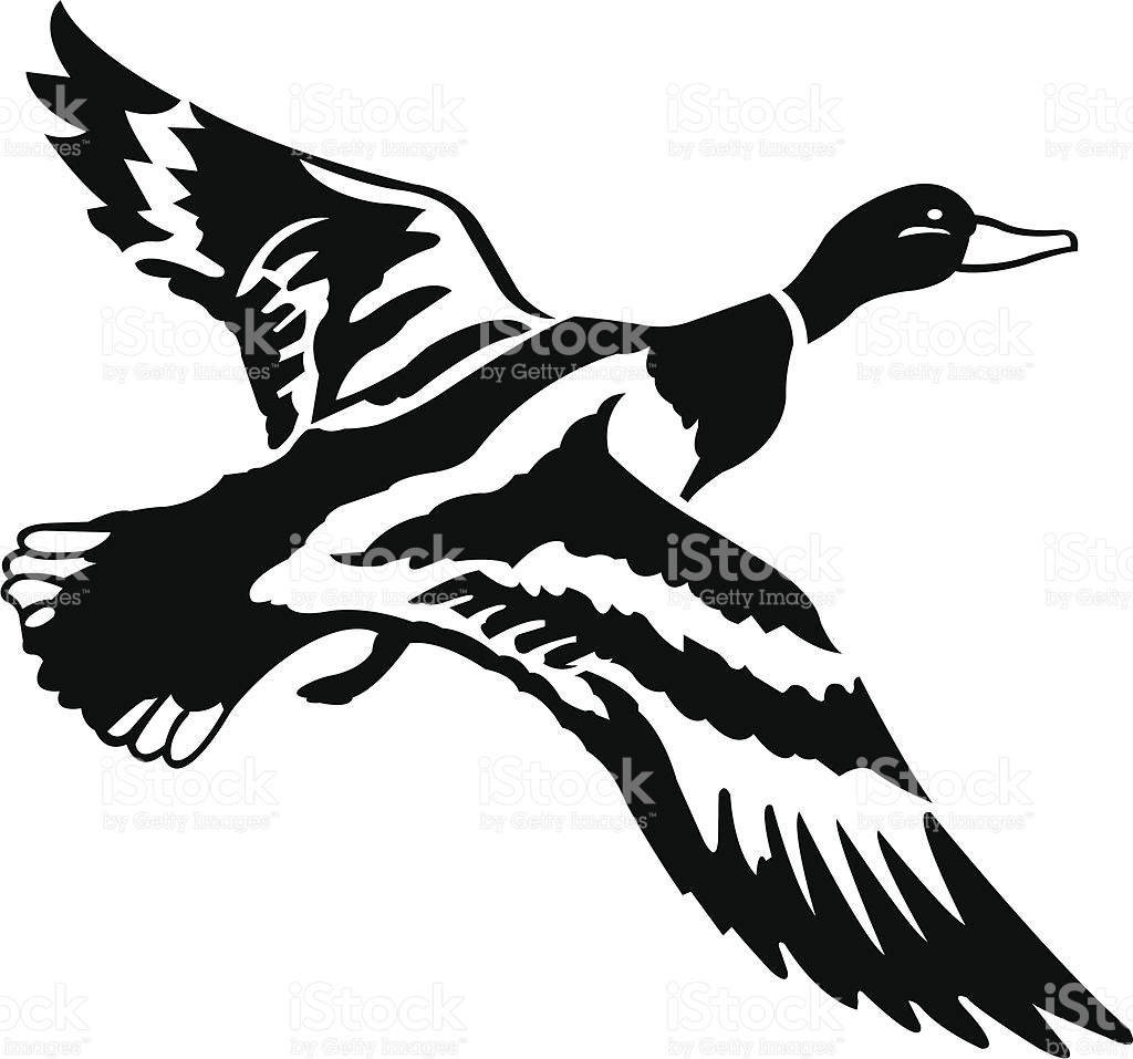 Flying Duck Clipart Black And White