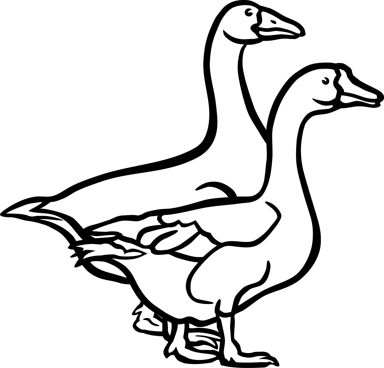 Download Free png Goose Duck Bird Black and white Clip art