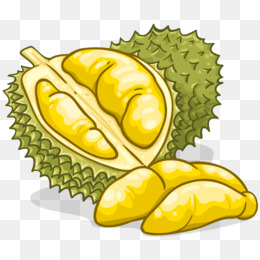 Durian png free.