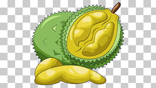 Cartoon durian png.