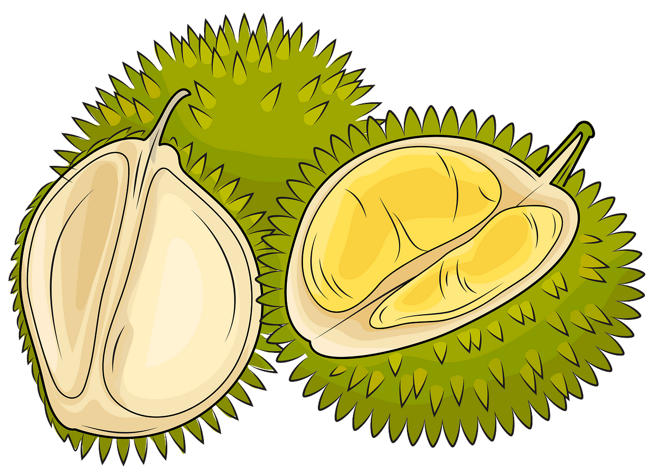 Durian Cut in Pieces clipart