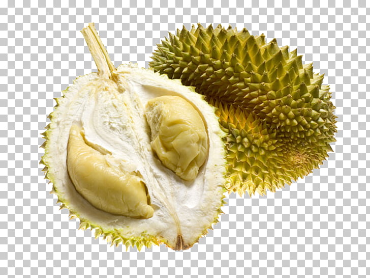 durian clipart guava