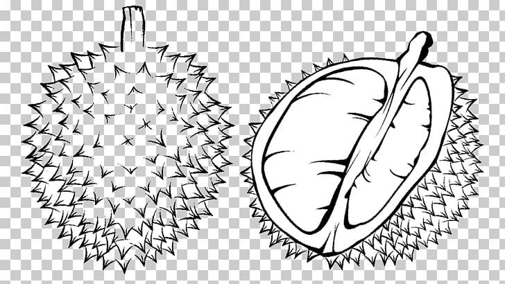 Coloring book durian.