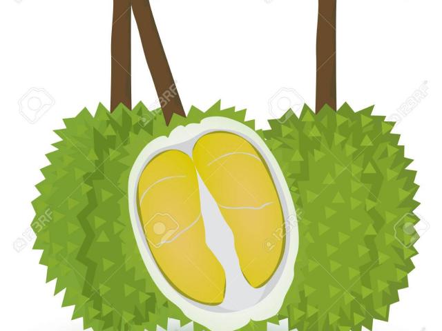 Free durian clipart.