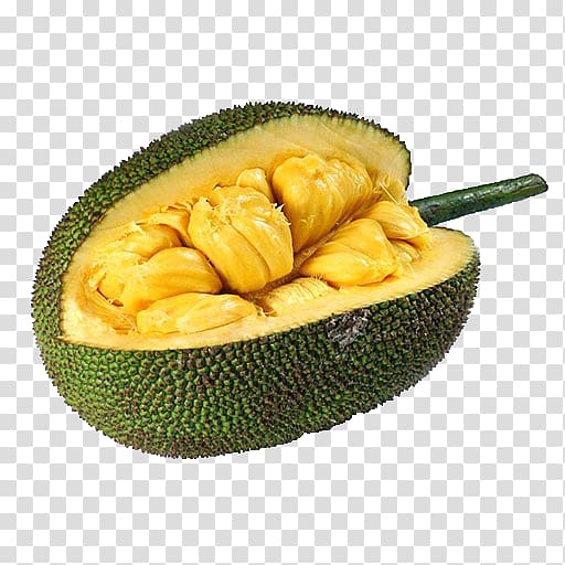 durian clipart jackfruit