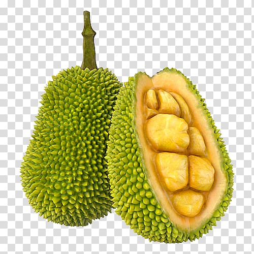 Two durian fruits.