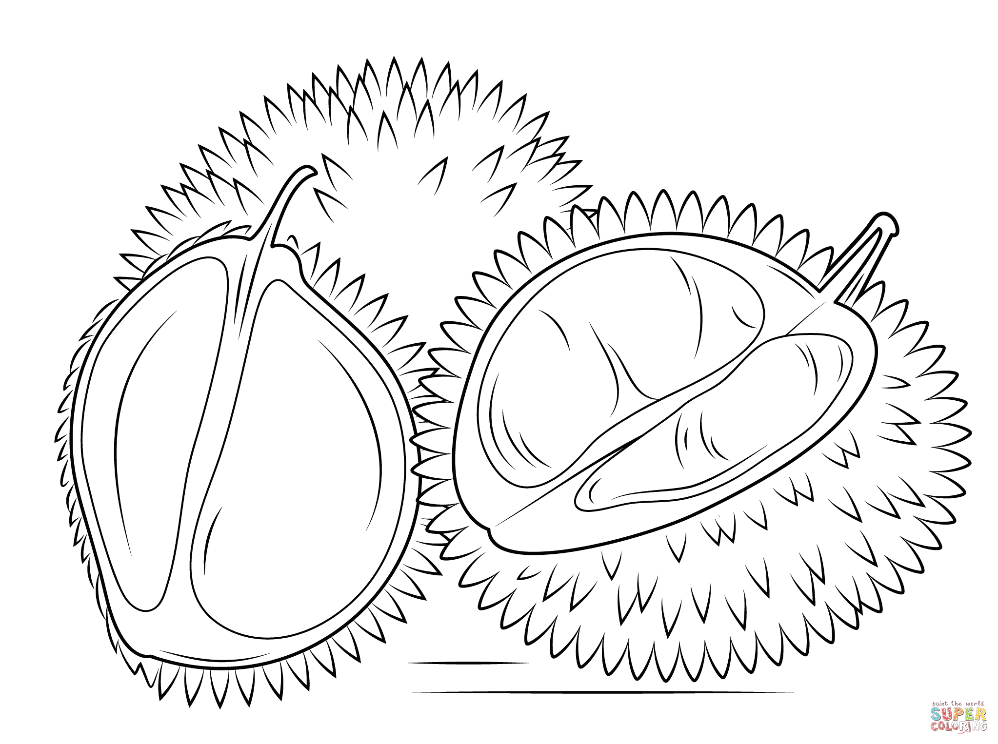Whole apricot and apricot sliced in half coloring page