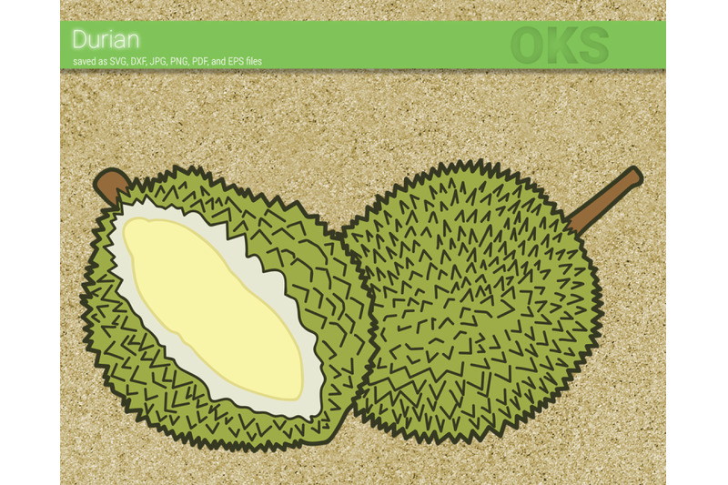 Durian svg, svg files, vector, clipart, cricut, download By