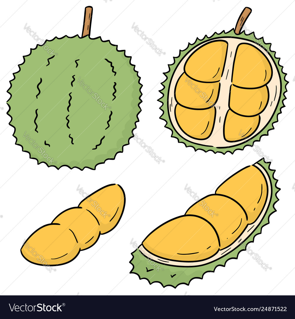 Set durian