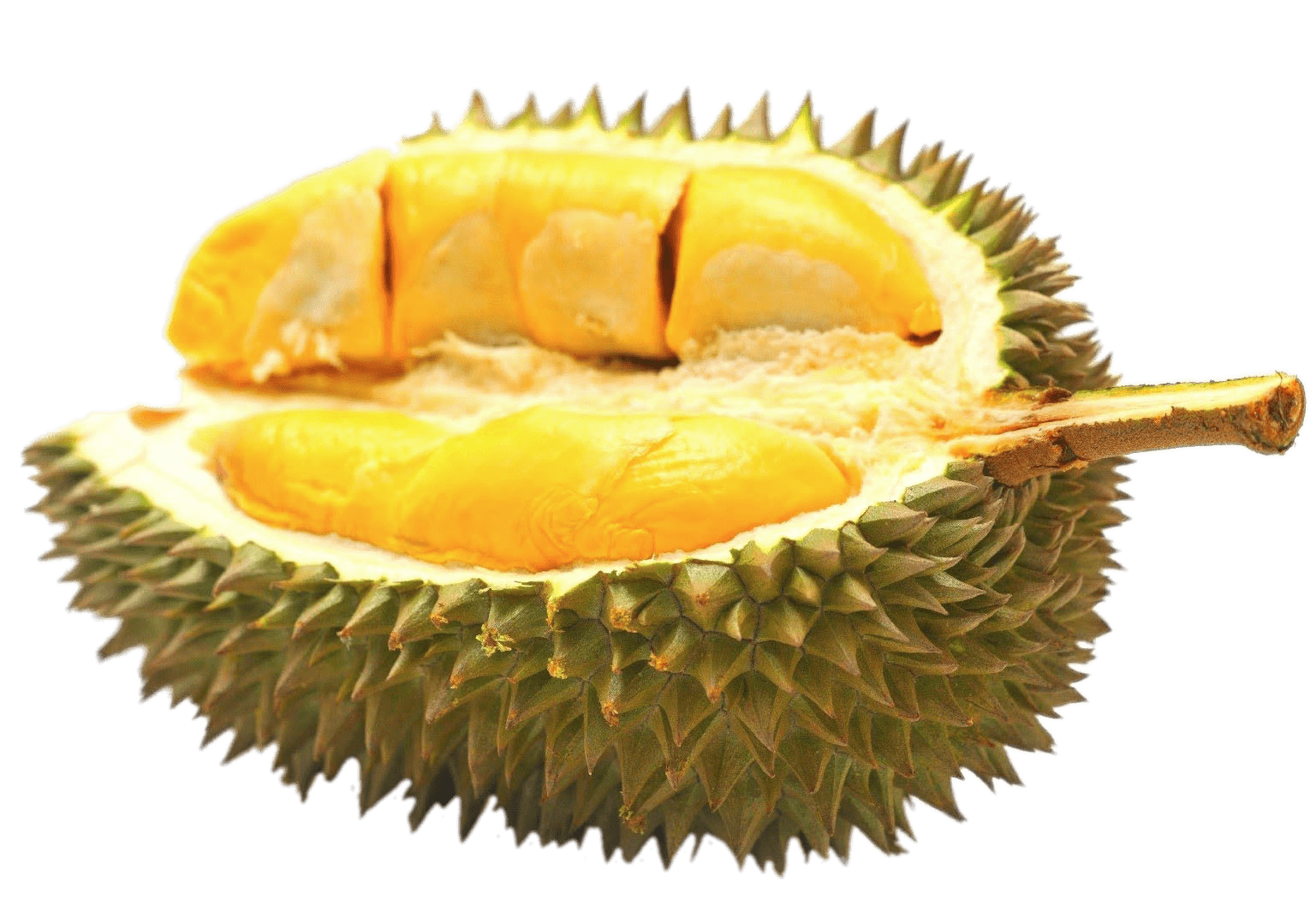 Half durian fruit.