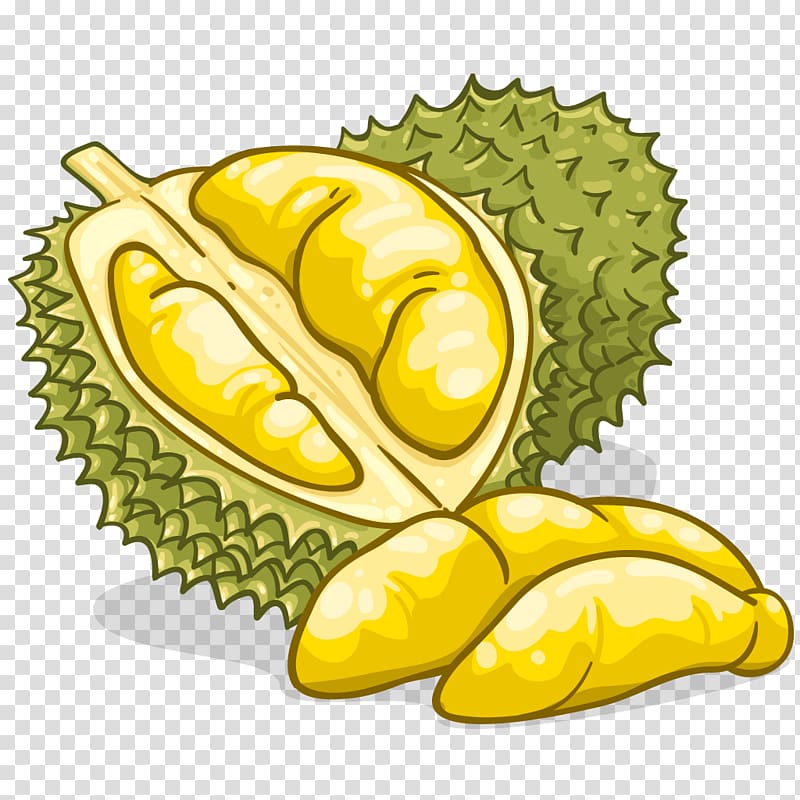 Durian fruit durian.