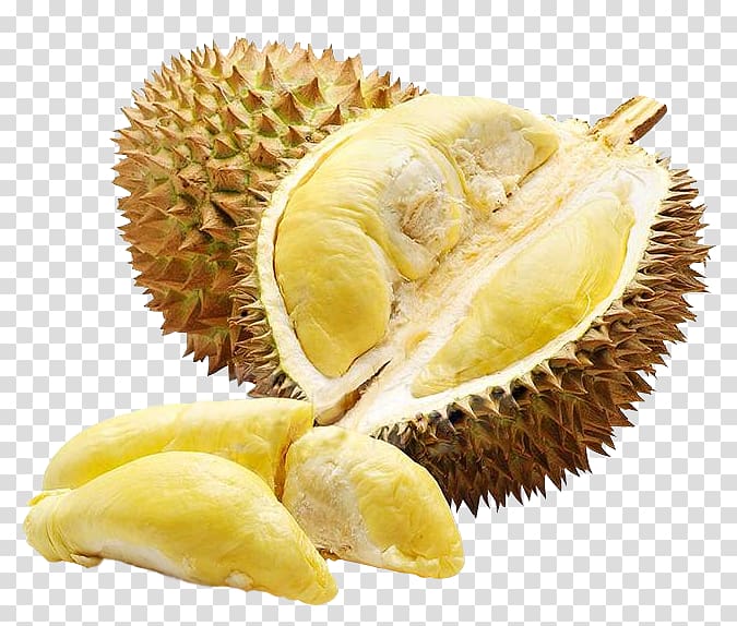 Opened durian fruit.