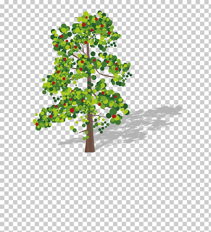 Tree durian png.