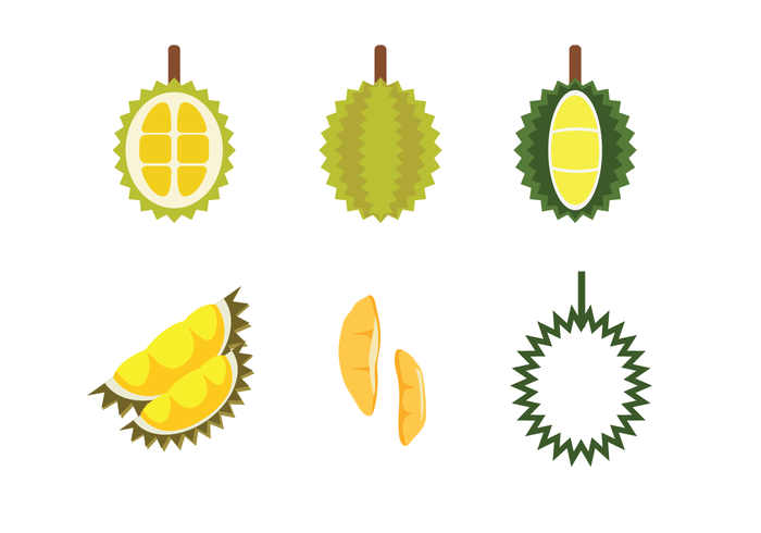 Free durian vector.