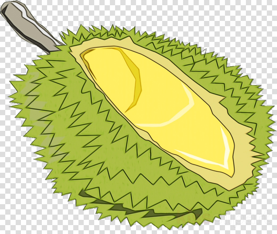 durian clipart yellow fruit