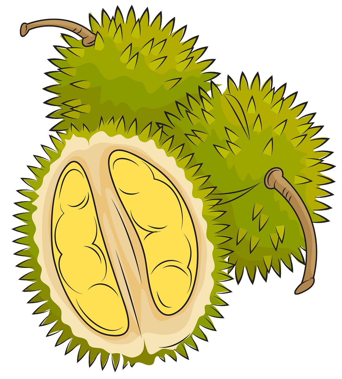 Three durian clipart.