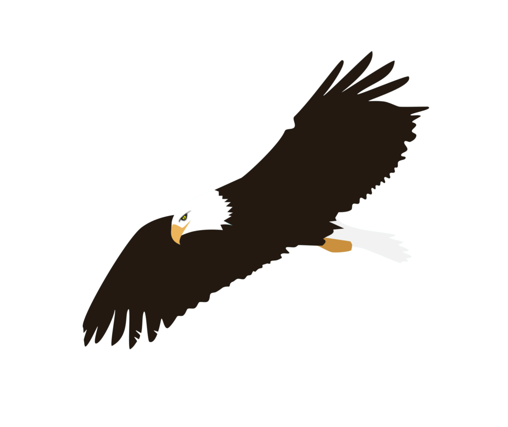 Eagle clipart abstract.