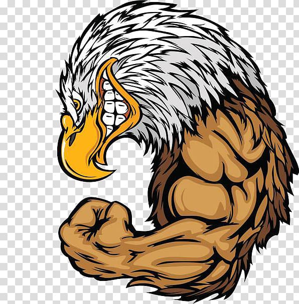 Angry eagle illustration.