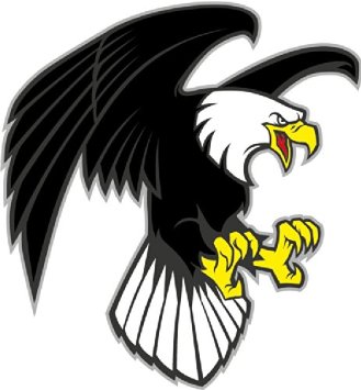 Cartoon angry eagle.