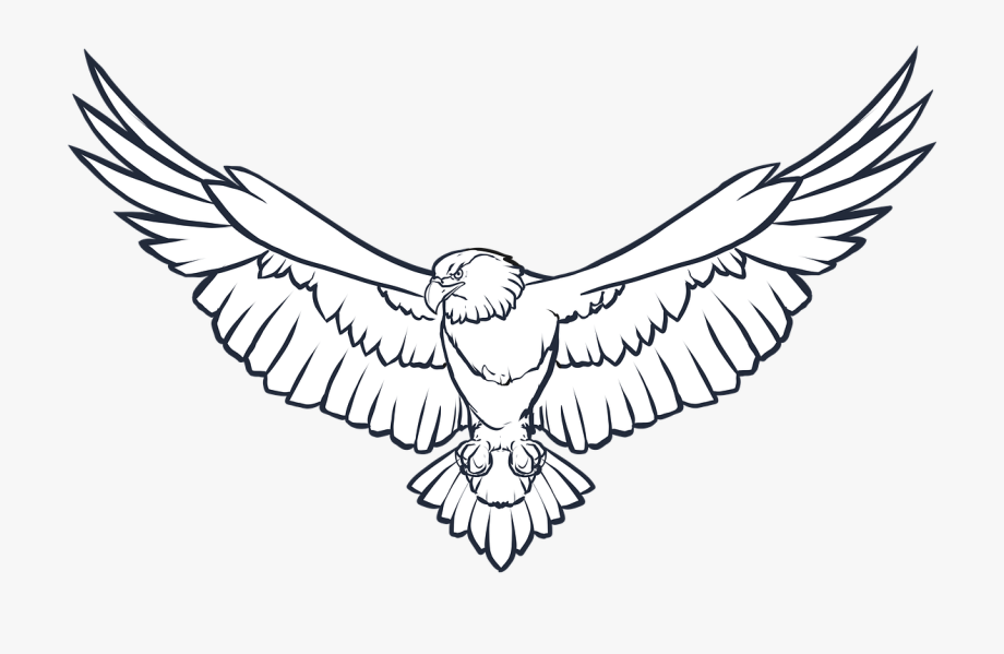 Eagle wings png.
