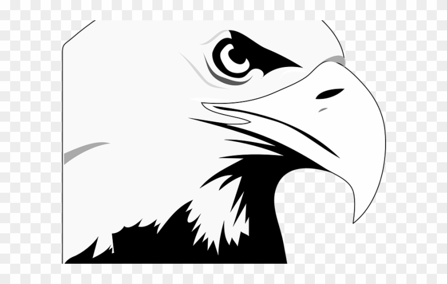 Black Eagle Clipart American Eagle