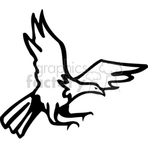 Black and white bald eagle swooping down, hunting clipart