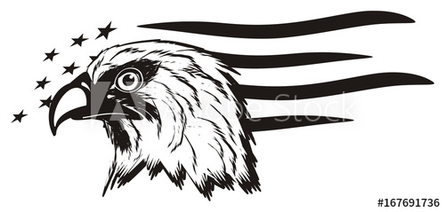 Eagle, bird, bald eagle, head, white, America, USA, cartoon