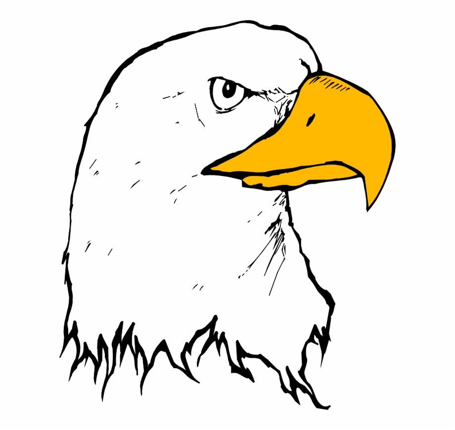 Image For Eagle Animal Clip Art