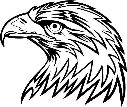 Eagle clipart black and white clipart coloring book bald