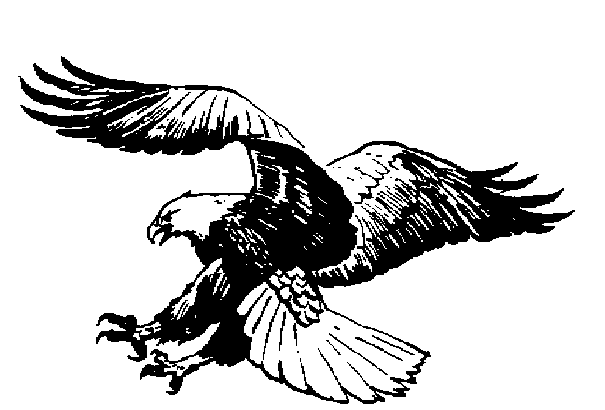 Free Cliparts Eagle Drawing, Download Free Clip Art, Free