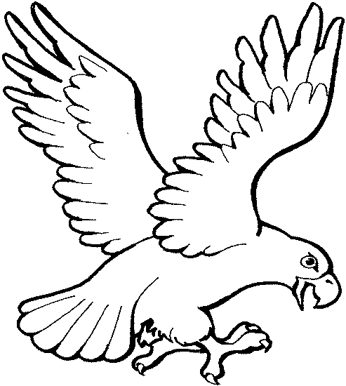 Free Cliparts Eagle Drawing, Download Free Clip Art, Free