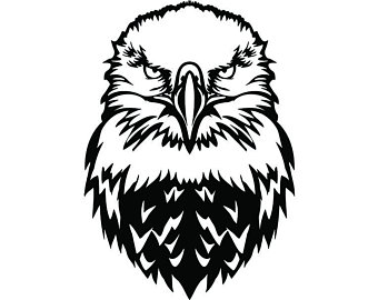 Eagle face drawing.
