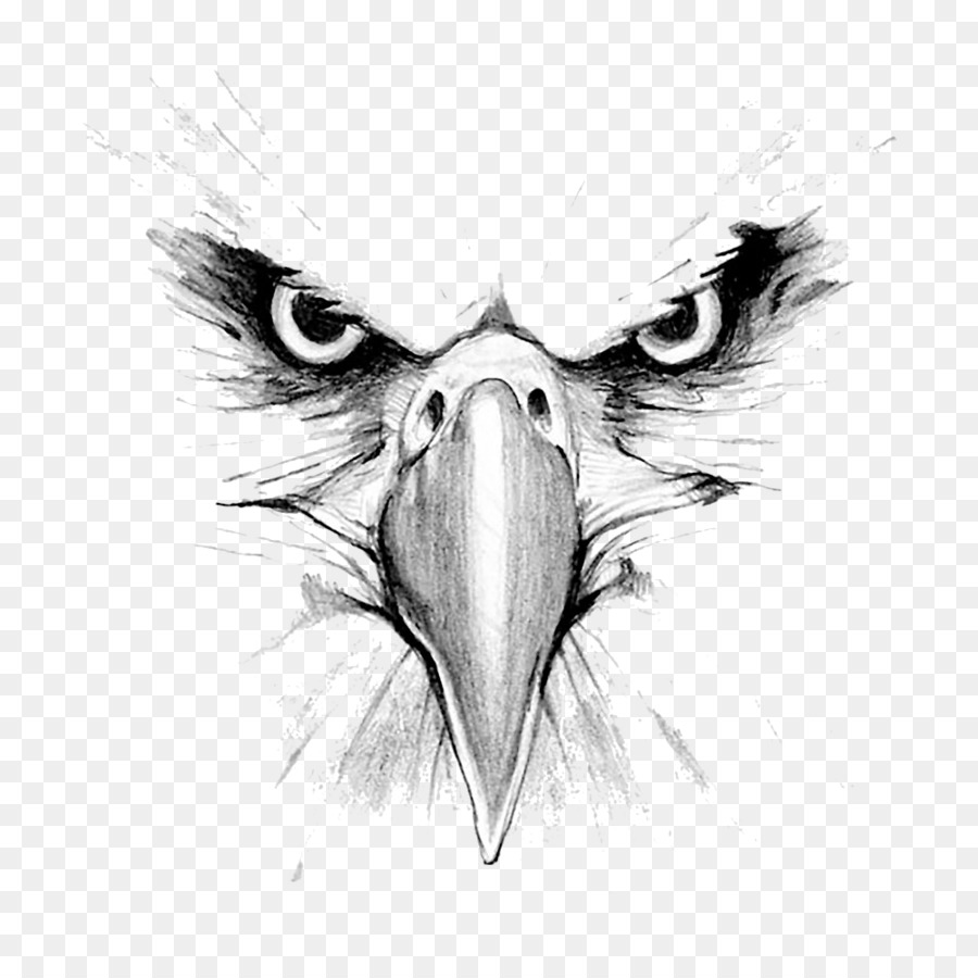 eagle clipart black and white face
