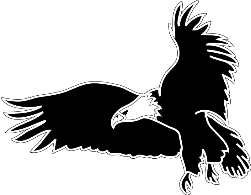 Clipart of a black and white flying bald eagle free