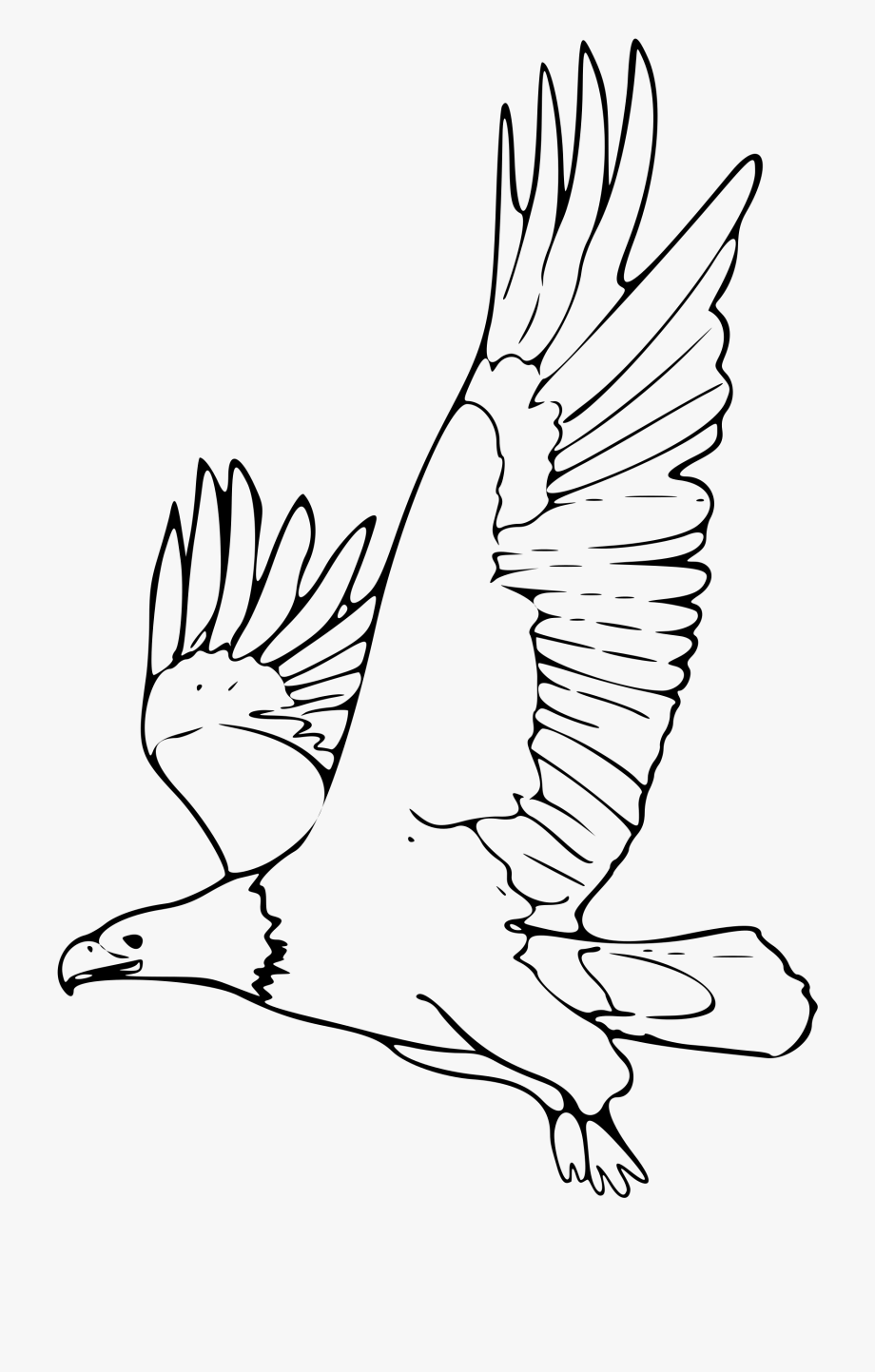 Flying Eagle Clipart Black And White