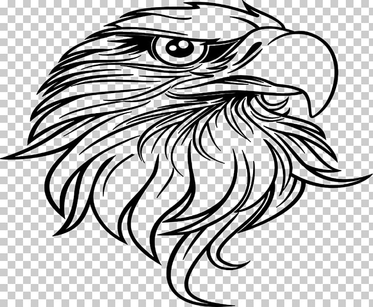 eagle clipart black and white hawk