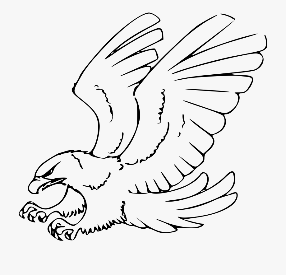 eagle clipart black and white line art