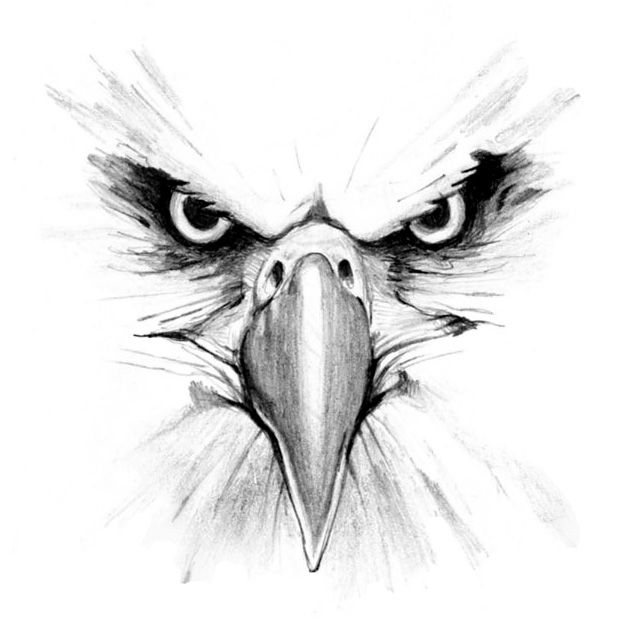 Free eagles pencil.